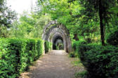 Vezac : les jardins de Marquessac : allée de promenade 2