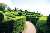 Vezac : les jardins de Marquessac :allée en direction de buis en boule