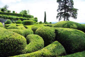 Vezac : les jardins de Marquessac : buis taillés et arbres
