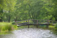 lac Léon : petit pont de bois
