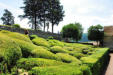 Vezac : les jardins de Marquessac : Buis taillés de toutes les formes