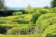 Vezac : les jardins de Marquessac : toutes formes de buis taillés