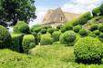 Vezac : les jardins de Marquessac :formes de buis taillésavec château en arrière plan