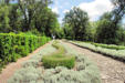 Vezac : les jardins de Marquessac : allée des romarins