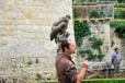 Castelnaud la Chapelle : château des Milandes, spectacle de rapaces