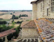 Lavardens : le château, vue sur les toits