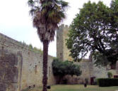 Larresingle : le château, mur d'enceinte