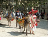 Uzès-la fête des ânes