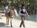 Uzès-la fête des ânes