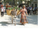 Uzès-la fête des ânes