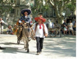 Uzès-la fête des ânes