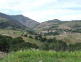 Banyuls-paysage de la ville depuis les hauteurs