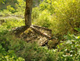 Rocamadour-construction avec incorporation d'un arbre