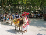 Uzès-la fête des ânes