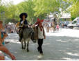 Uzès-la fête des ânes