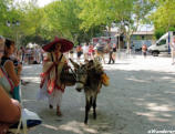 Uzès-la fête des ânes