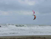 saintes maries de la mer-windsurfer