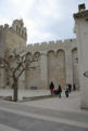 saintes maries de la mer-église Notre Dame, facade