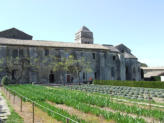 Saint Rémy de Provence : le cloître Saint Paul