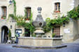 Venasque :fontaine devant restaurant envahi par de la vigne