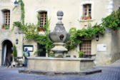 Venasque :fontaine devant restaurant envahi par de la vigne
