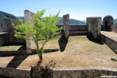 sisteron : la citadelle,cour intérieure, arbre