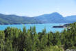 lac avec montagne et forêt