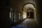Saint Rémy de Provence : le cloître Saint Paul