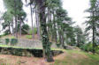 Forcalquier : montée au sommet de la citadelle 3