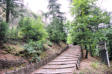 Forcalquier : montée au sommet  par chemin en escalier