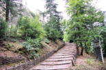 Forcalquier : montée au sommet  par chemin en escalier