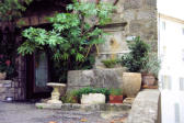 Bonnieux : fontaine avec arbre et fleurs