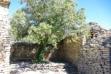 Gordes : le village des Bories, place