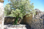 Gordes : le village des Bories, place