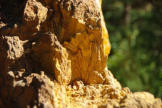 Rustrel : le colorado provençal, radonnée au milieu des carrières d'ocres 18