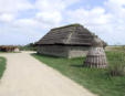 La barre de Monts - écomusée " le Daviaud "-maison à toit de chaume et nid à canards