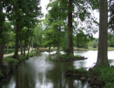 les abords du château de la Guignardière à Avrillé