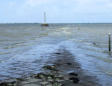 Beauvoir sur Mer - Passage du Gois, décrue de la marée