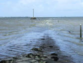 Beauvoir sur Mer - Passage du Gois, décrue de la marée