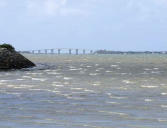 Beauvoir sur Mer : Passage du Gois submergé et vue sur le pont de Noirmoutier