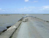 Beauvoir sur Mer - Passage du Gois, décrue de la marée