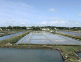 Noirmoutier en l'Ile :  marais salants