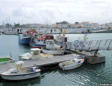 l'herbaudière : le port, un des nombreux embarcadères