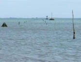 Beauvoir sur Mer - Passage du Gois, repéres de la route et refuges