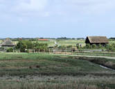 La barre de Monts - écomusée " le Daviaud "-maisons toits de chaume de la ferme