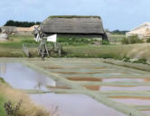 La barre de Monts - écomusée " le Daviaud "