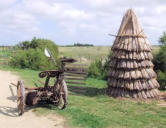 La barre de Monts - écomusée " le Daviaud "- les machines des paysans et nid de canards