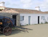 La barre de Monts - écomusée " le Daviaud ""- charette pour la promenade devant maison moderne