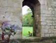 Abbaye de l'Ile Chauvet : vestiges et ruines