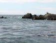 Le Croisic - rochers et l'océan